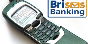Tutorial Cara Cek Saldo SMS Banking BRI dan BRI Syariah Lengkap